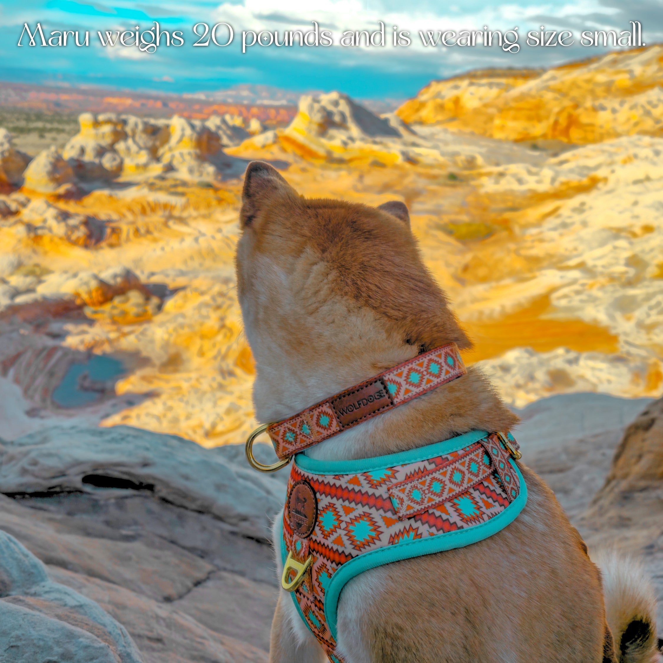 Southwest Spirit Harness | Turquoise Dog Harness | Stella & Bone - Stella & Bone