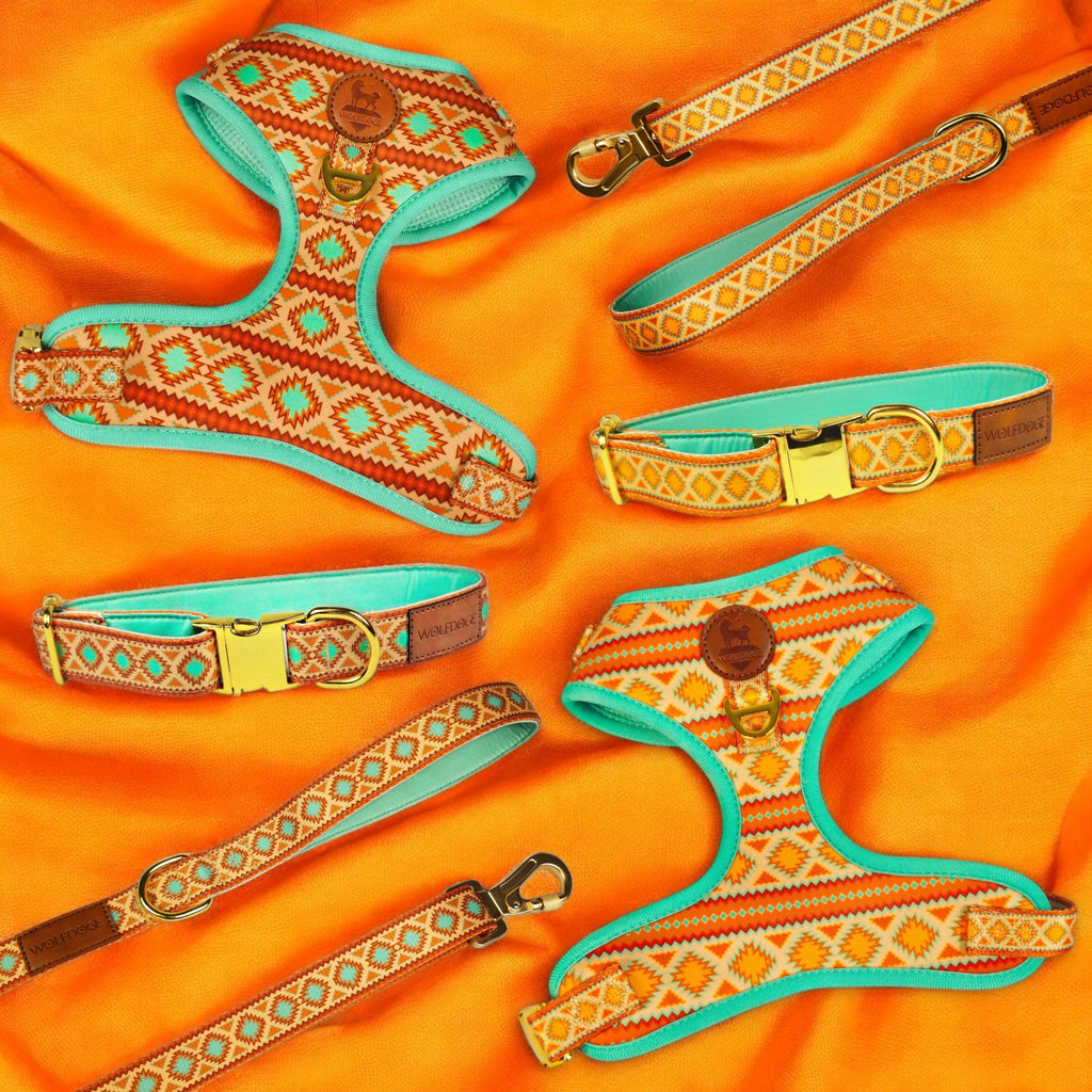 Southwest Spirit Harness | Turquoise Dog Harness | Stella & Bone - Stella & Bone