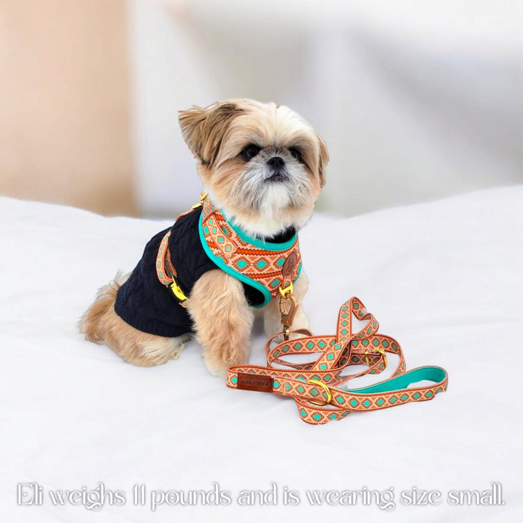 Southwest Spirit Harness | Turquoise Dog Harness | Stella & Bone - Stella & Bone