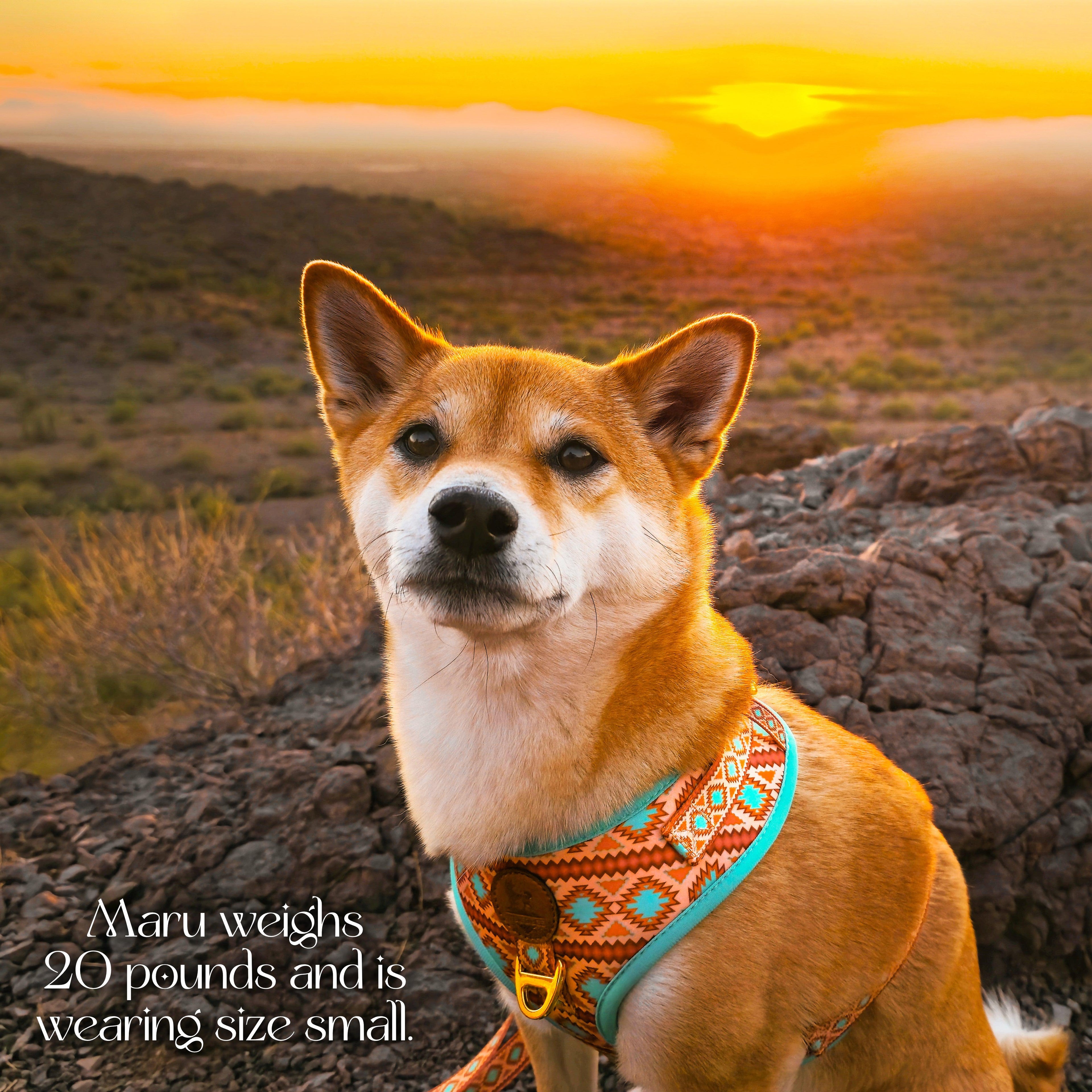 Southwest Spirit Harness | Turquoise Dog Harness | Stella & Bone - Stella & Bone