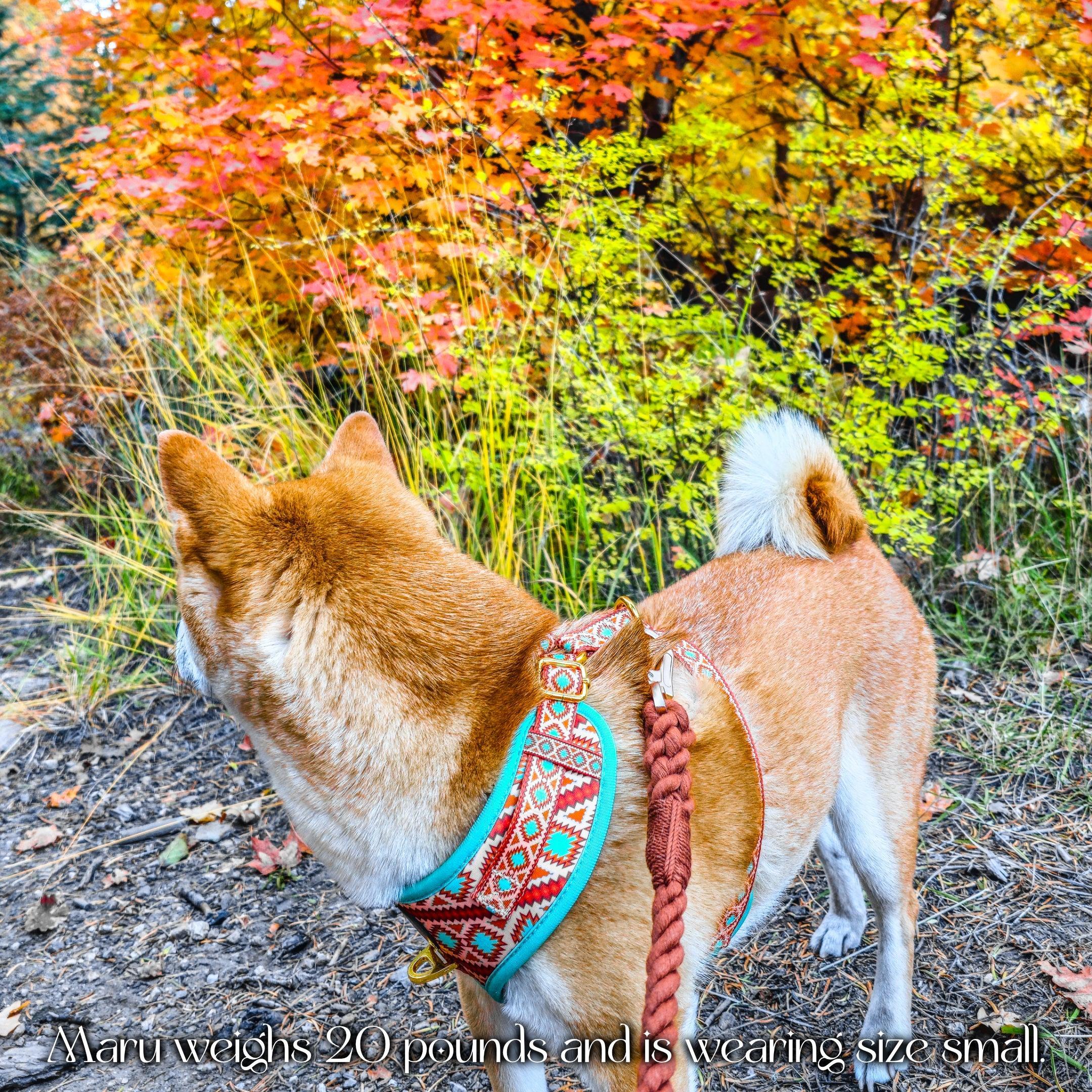 Southwest Spirit Harness | Turquoise Dog Harness | Stella & Bone - Stella & Bone