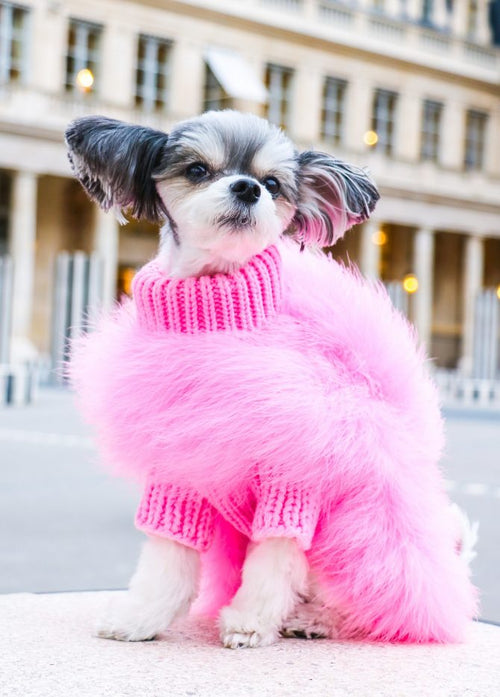 Cloud Feather Couture Sweater | Dogs & Cats | Stella & Bone