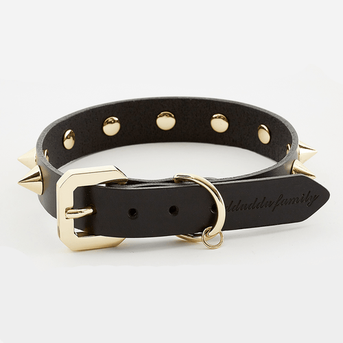 Golden Spike Leather Collar | Dogs | Stella & Bone - Stella & Bone