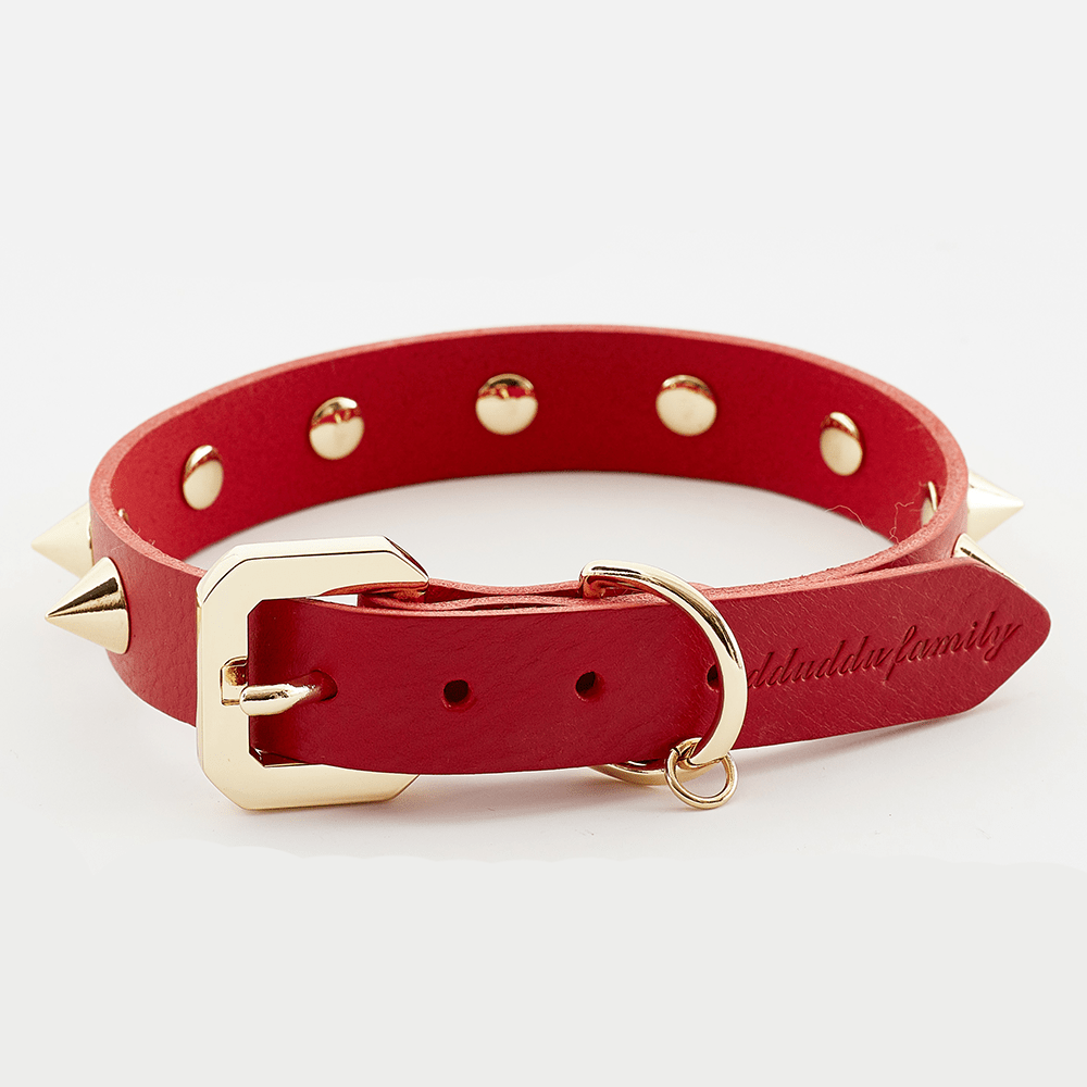Golden Spike Leather Collar in Red | Dogs | Stella & Bone - Stella & Bone