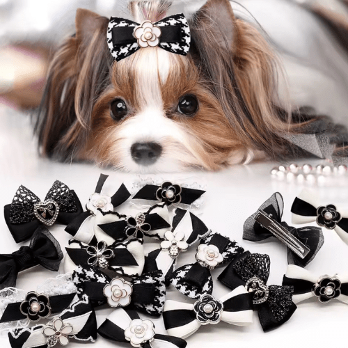 Maison Élégance Haute Couture Pet Bow Collection | Dogs & Cats | Stella & Bone - Stella & Bone