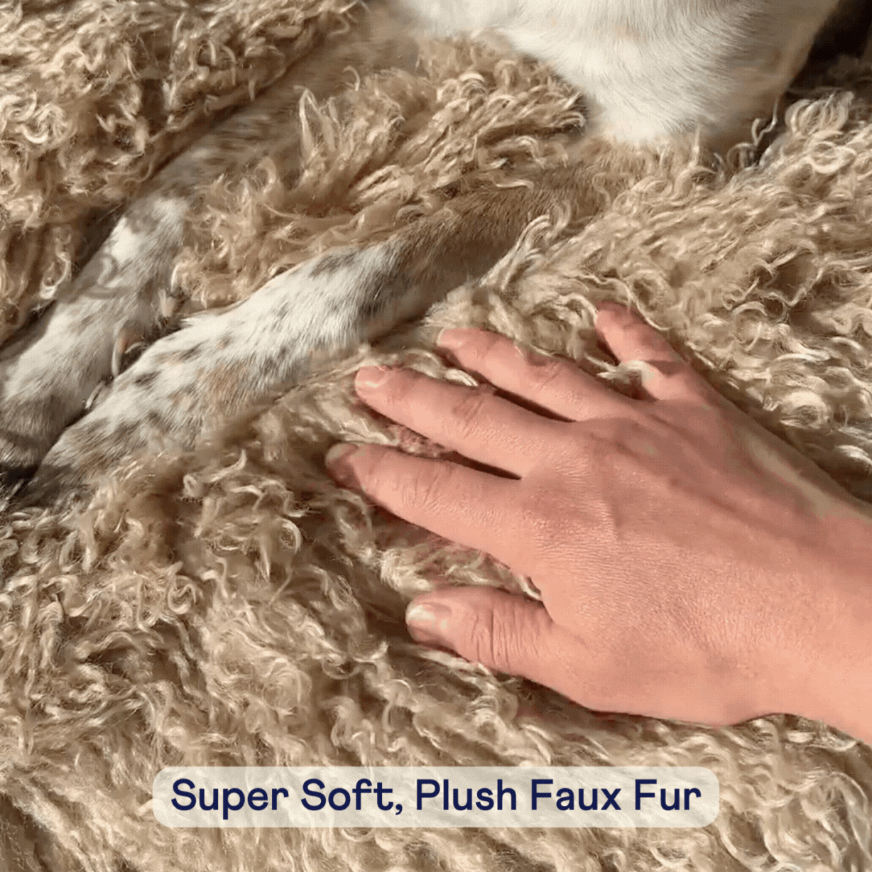 The Wool Bed | Faux Sheepskin Orthopedic Dog Bed | Stella & Bone