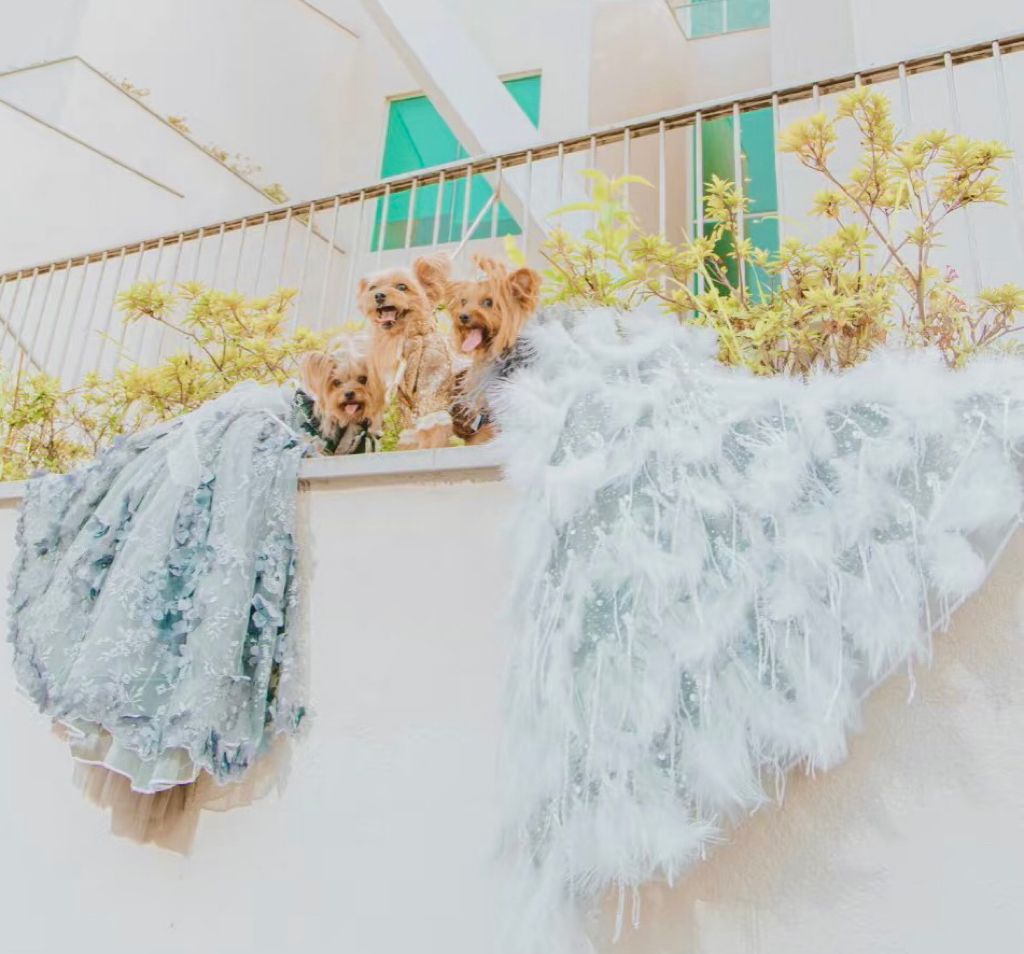 Ivory Swan Feather Bridal Dog Gown | Luxury Dog Wedding Dress | Stella & Bone - Stella & Bone