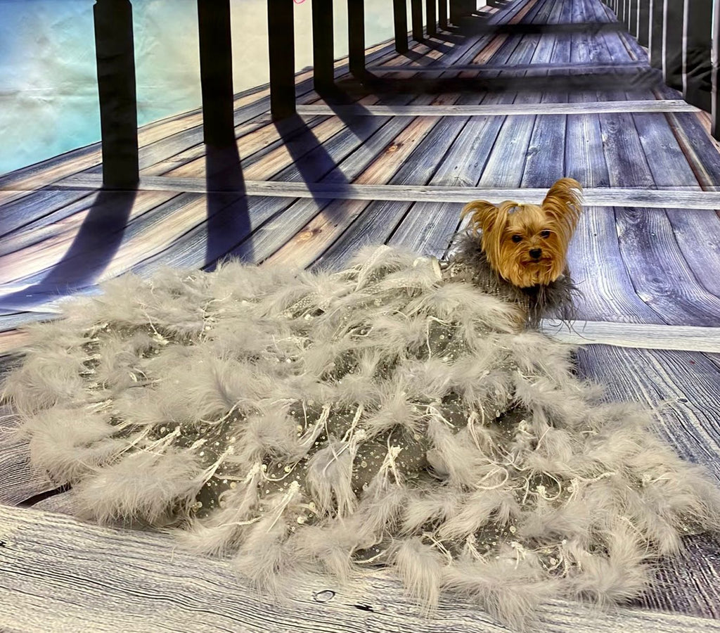 Ivory Swan Feather Bridal Dog Gown | Luxury Dog Wedding Dress | Stella & Bone - Stella & Bone