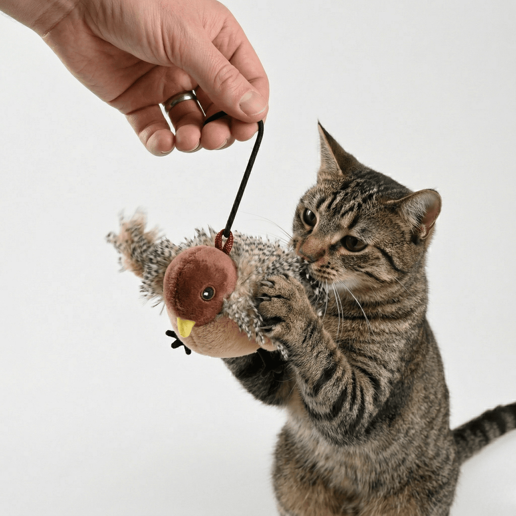 Wing & Chirp Electric Cat Toy | Motion & Chirping Sound | Stella & Bone