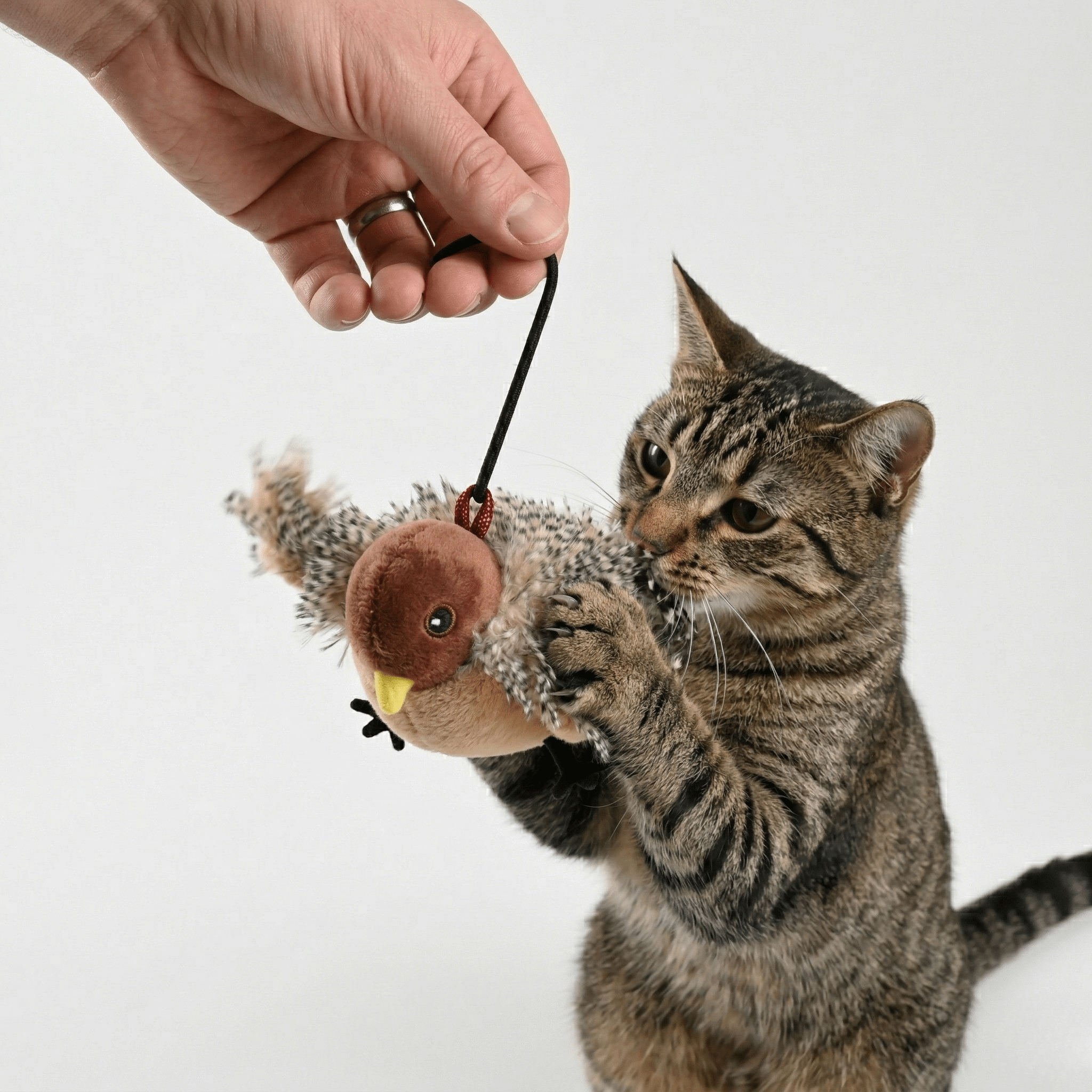 Wing & Chirp Electric Cat Toy | Motion & Chirping Sound | Stella & Bone