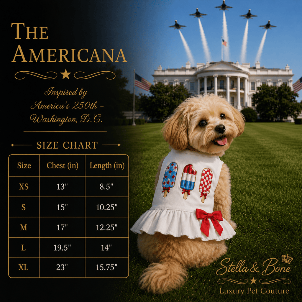 Dog wearing The Americana, white dress with bow and popsicle graphics in front of the White House