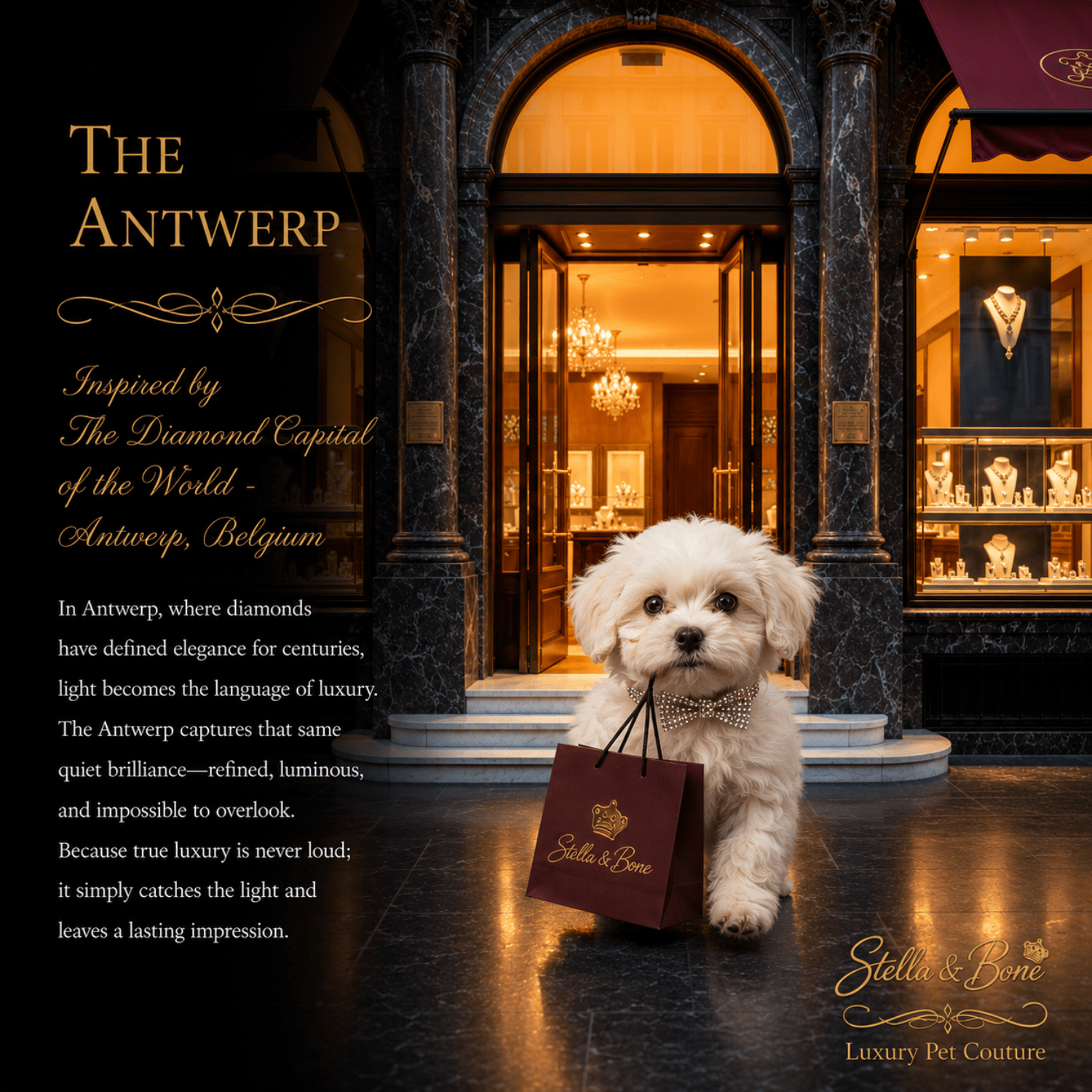 Small dog leaving a luxury jewelry store with a Stella and Bone bag wearing The Antwerp,  Rhinestone Bow Collar, sparkly