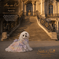White dog in Arc-en-Ciel rainbow sequin tutu dress with lavender bows at Chateau de Fontainebleau — Stella and Bone
