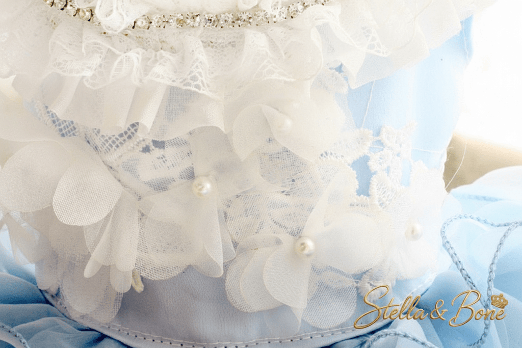 La Céleste | Butterfly Pearl Dog Gown | Stella & Bone