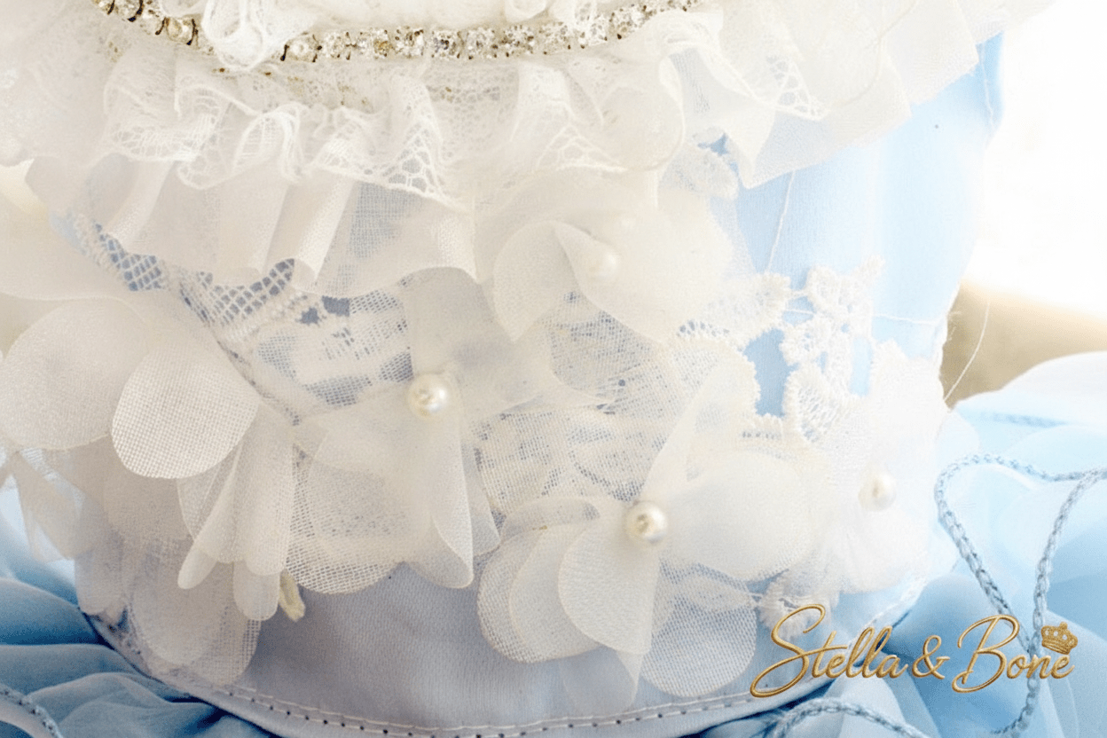 La Céleste | Butterfly Pearl Dog Gown | Stella & Bone