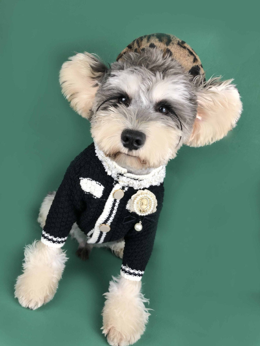 Couture Knit Cardigan | Designer Pet Sweater | Stella & Bone - Stella & Bone