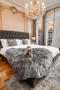 The Sanctuary Throw | Charcoal | Waterproof Pet Blanket | Stella & Bone