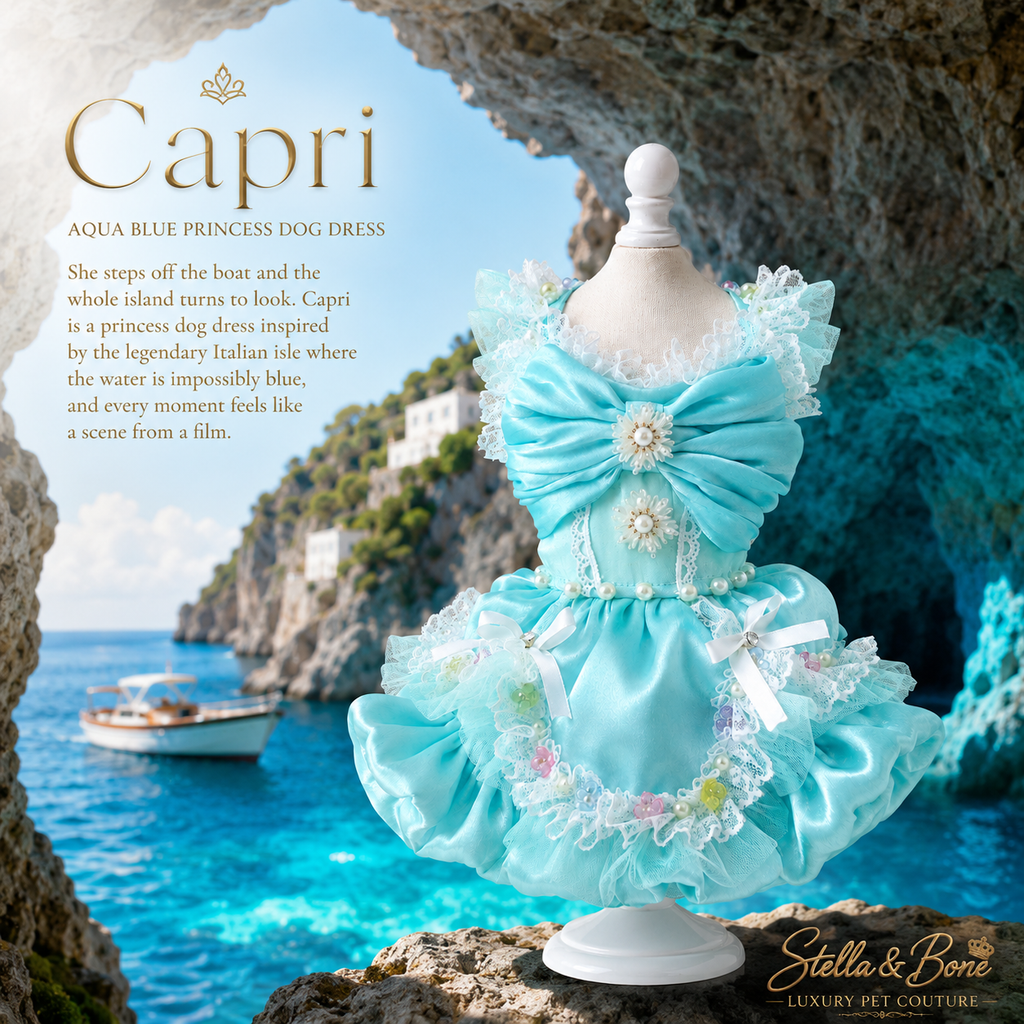 Capri | Aqua Blue Princess Dog Dress | Stella & Bone