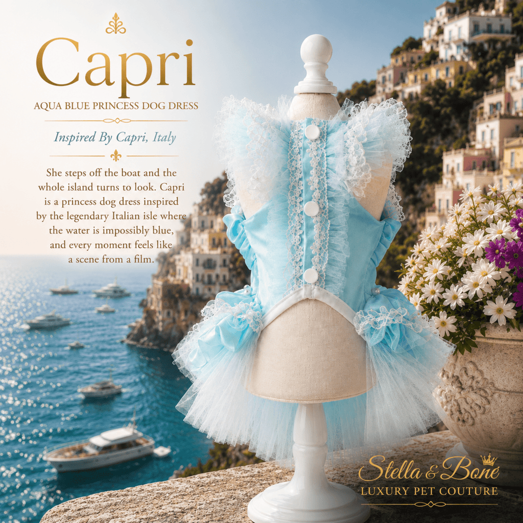 A light blue and white tulle dog dress, Capri - Designer dog dresses, boujee and glam for your princess