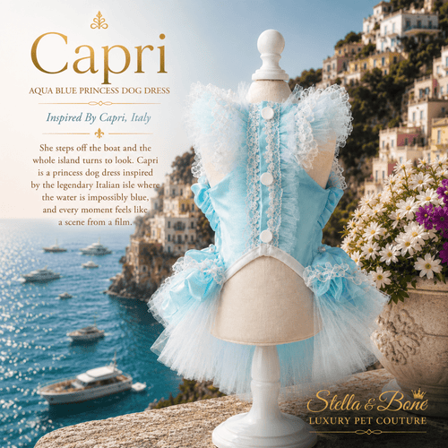 A light blue and white tulle dog dress, Capri set against a scenic coastal backdrop in Italy. Layered tulle ruffled skirt