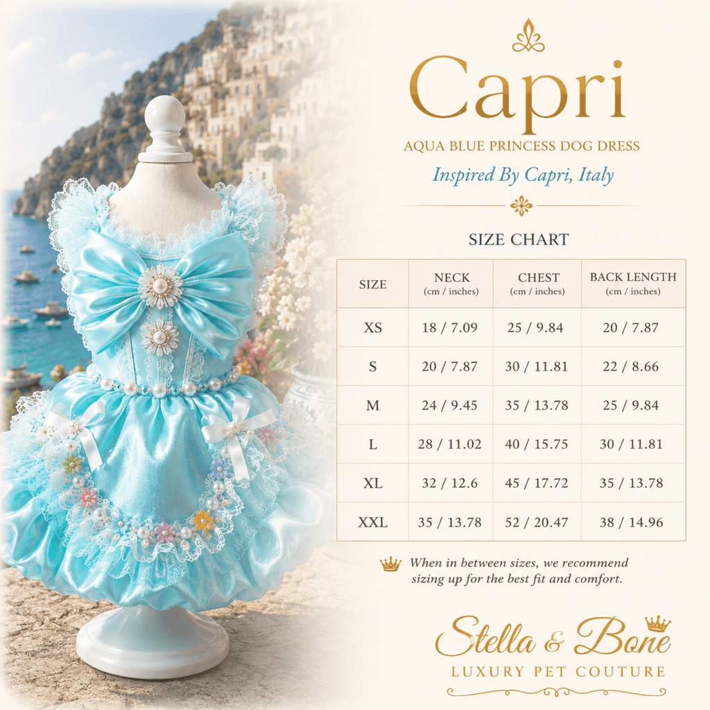 Size chart of Capri, aqua blue princess dog dress in standard and custom options. High-end puppy apparel, Luxury pet dress