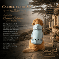 Carmel-by-the-Sea Elephant Hoodie Dogs — Golden Retriever in pastel blue dog hoodie on foggy Carmel California morning