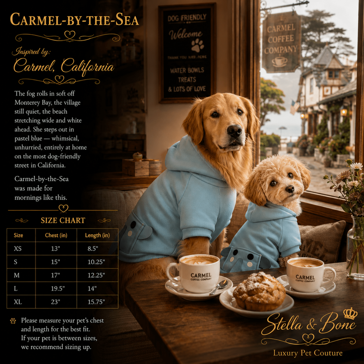 Carmel-by-the-Sea Elephant Hoodie Dogs — size chart XS to XL for pastel blue elephant dog hoodie by Stella and Bone
