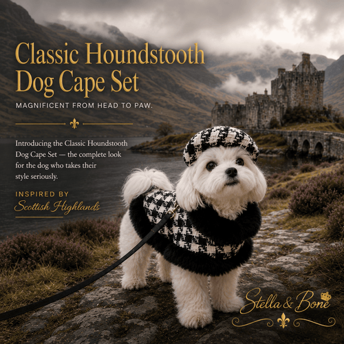 Dog wearing Classic Houndstooth Dog Cape - classic print and elegant drape, matching hat and leash