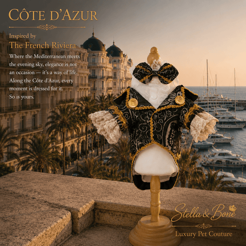 Cote d Azur Black Tie Pet Tuxedo — black gold brocade dog tuxedo on mannequin overlooking Cannes harbor at sunset
