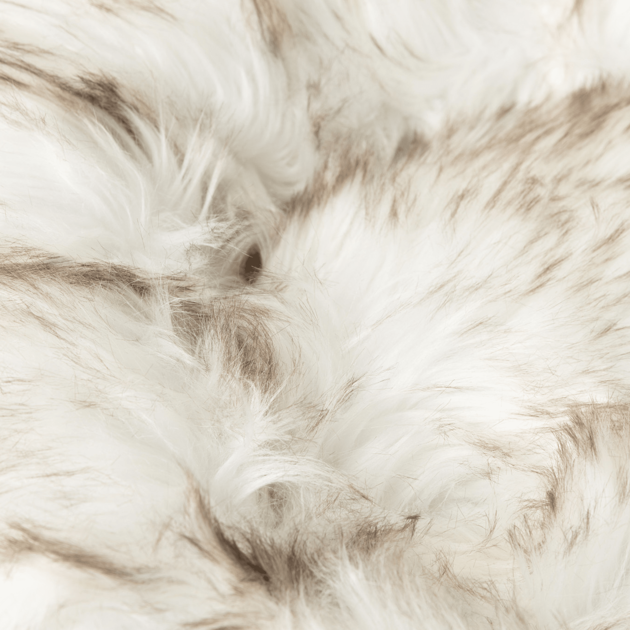 Luxe Faux Fur Donut Bed | Dogs & Cats | White & Brown | Stella & Bone - Stella & Bone