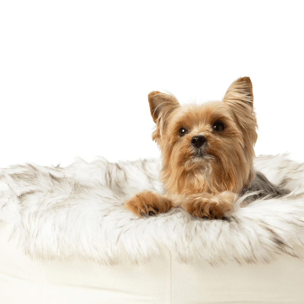 Luxe Faux Fur Donut Bed | Dogs & Cats | White & Brown | Stella & Bone - Stella & Bone