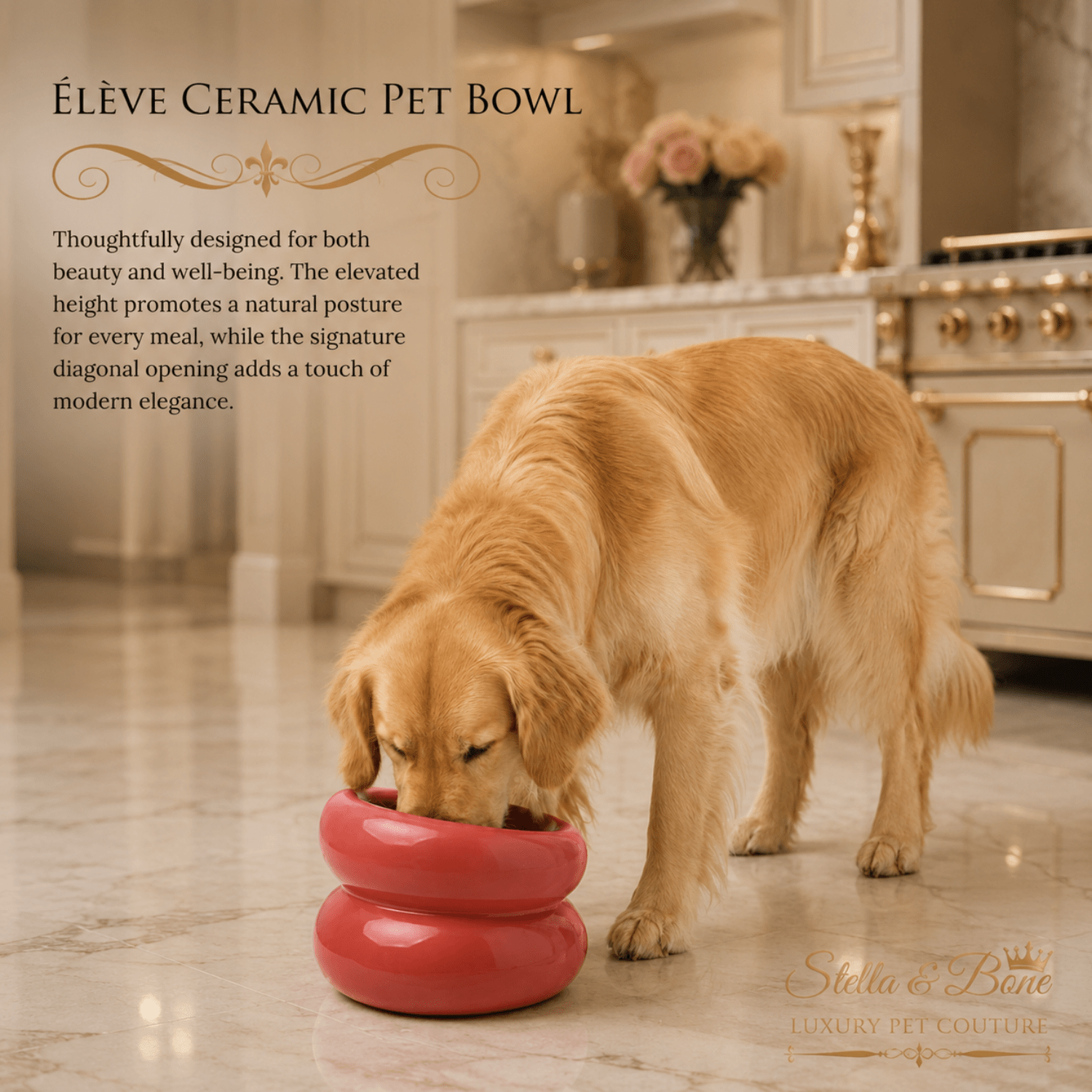Golden Retriever eating from Eleve coral elevated ceramic dog bowl on marble floor luxury kitchen ergonomic dog feeder
