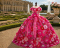 Versailles | Pink Floral Couture Dog Gown | Stella & Bone