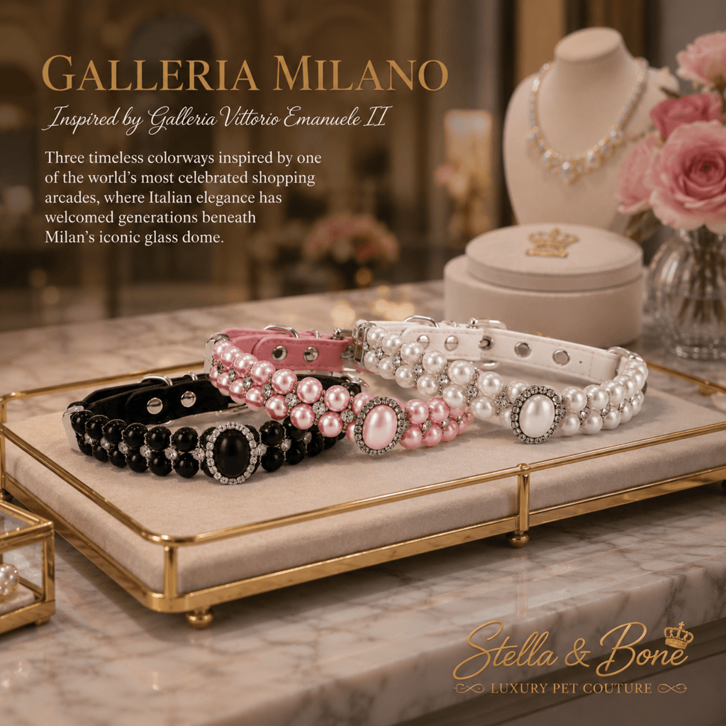 Galleria Milano | Pearl Crown Collar | Dogs & Cats | Stella & Bone