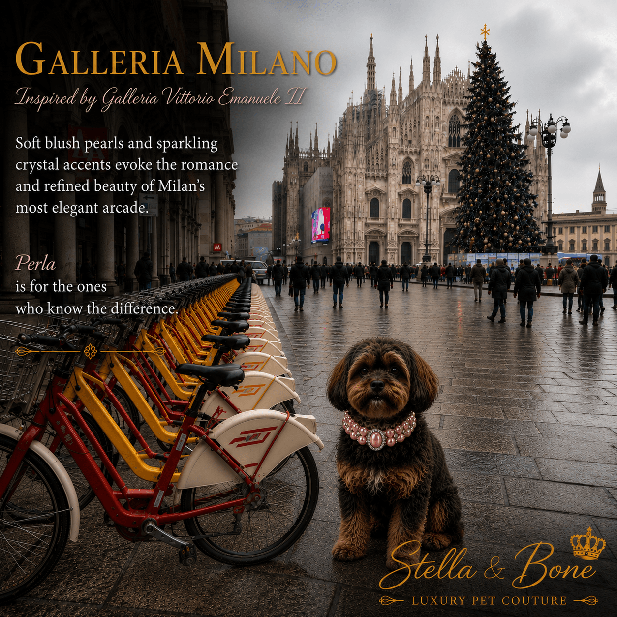 Galleria Milano | Pearl Crown Collar | Dogs & Cats | Stella & Bone
