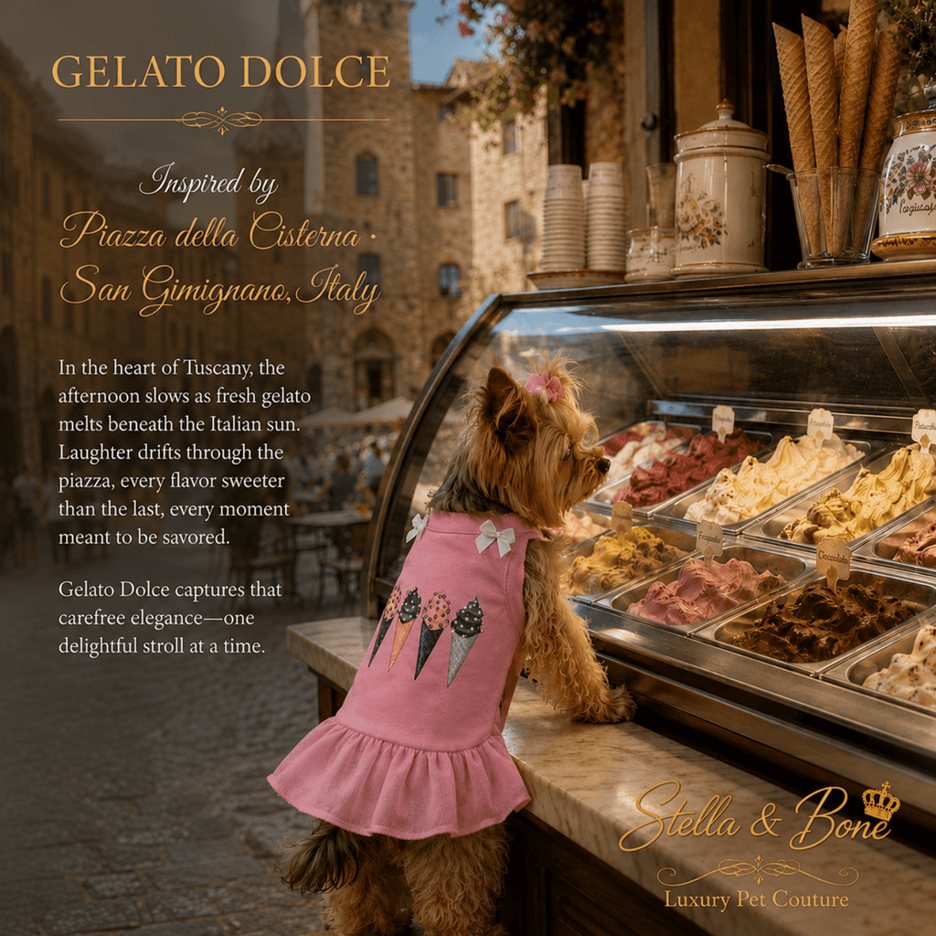 Dog wearing a pink dress, Gelato Dolce, with ice cream cone graphics stands in front of a gelato shop counter