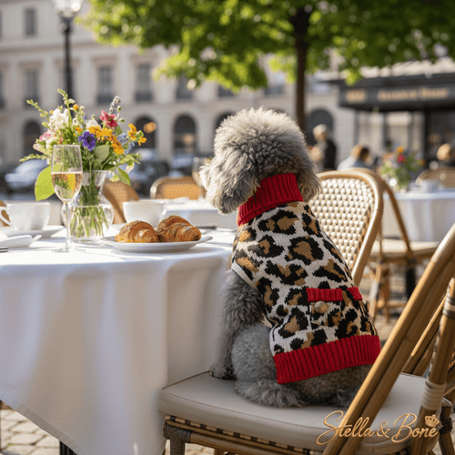 Après-Walk Leopard Dog Sweater | Knit Turtleneck | Stella & Bone