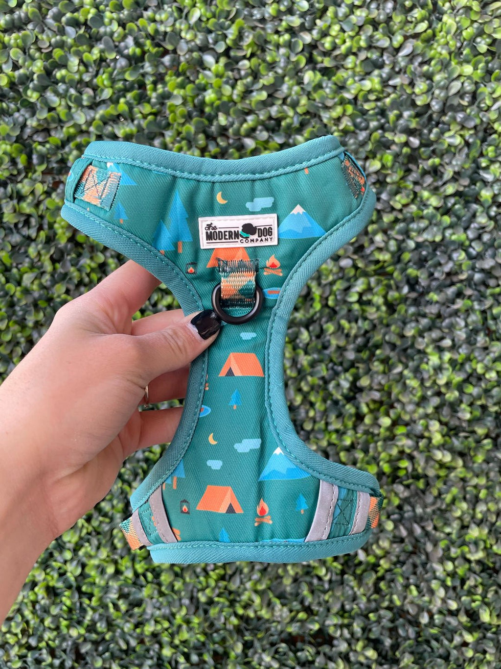 Camping Harness | Adjustable Dog Harness for Adventures | Stella & Bone - Stella & Bone