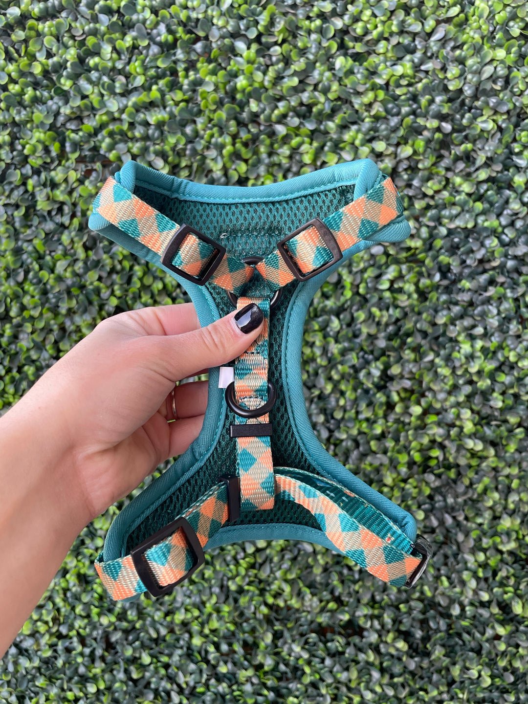 Camping Harness | Adjustable Dog Harness for Adventures | Stella & Bone - Stella & Bone