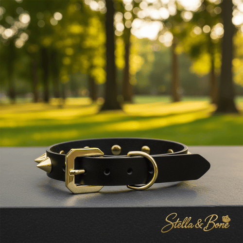 Artisan Gold Spike Dog Collar | Vegetable-Tanned Leather | Stella & Bone
