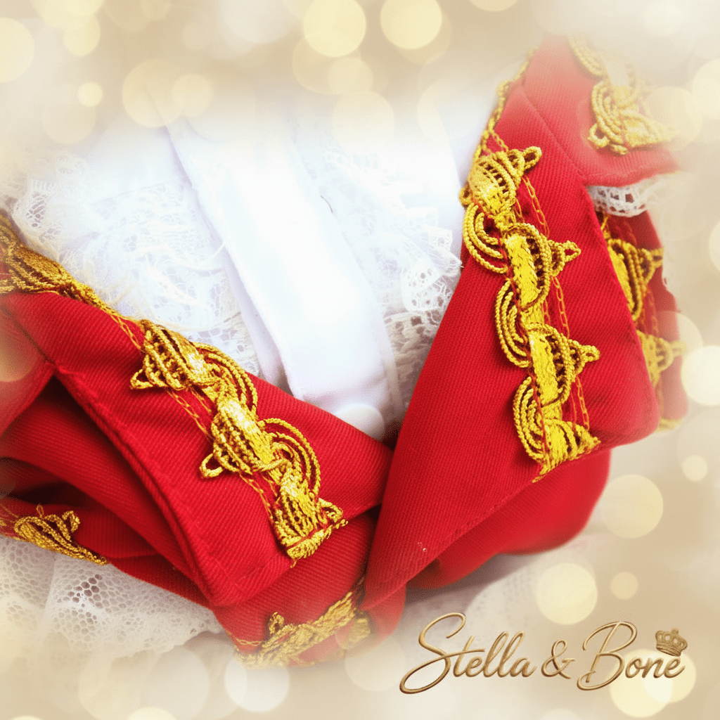 Le Roi Rouge | Versailles Velvet Dog Coat | Stella & Bone