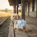 La Belle Bleue | Pearl & Rhinestone Satin Dog Gown | Stella & Bone