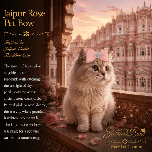 Fluffy cat wearing Jaipur Rose pink bow on stone balcony with Hawa Mahal palace at golden hour Jaipur India