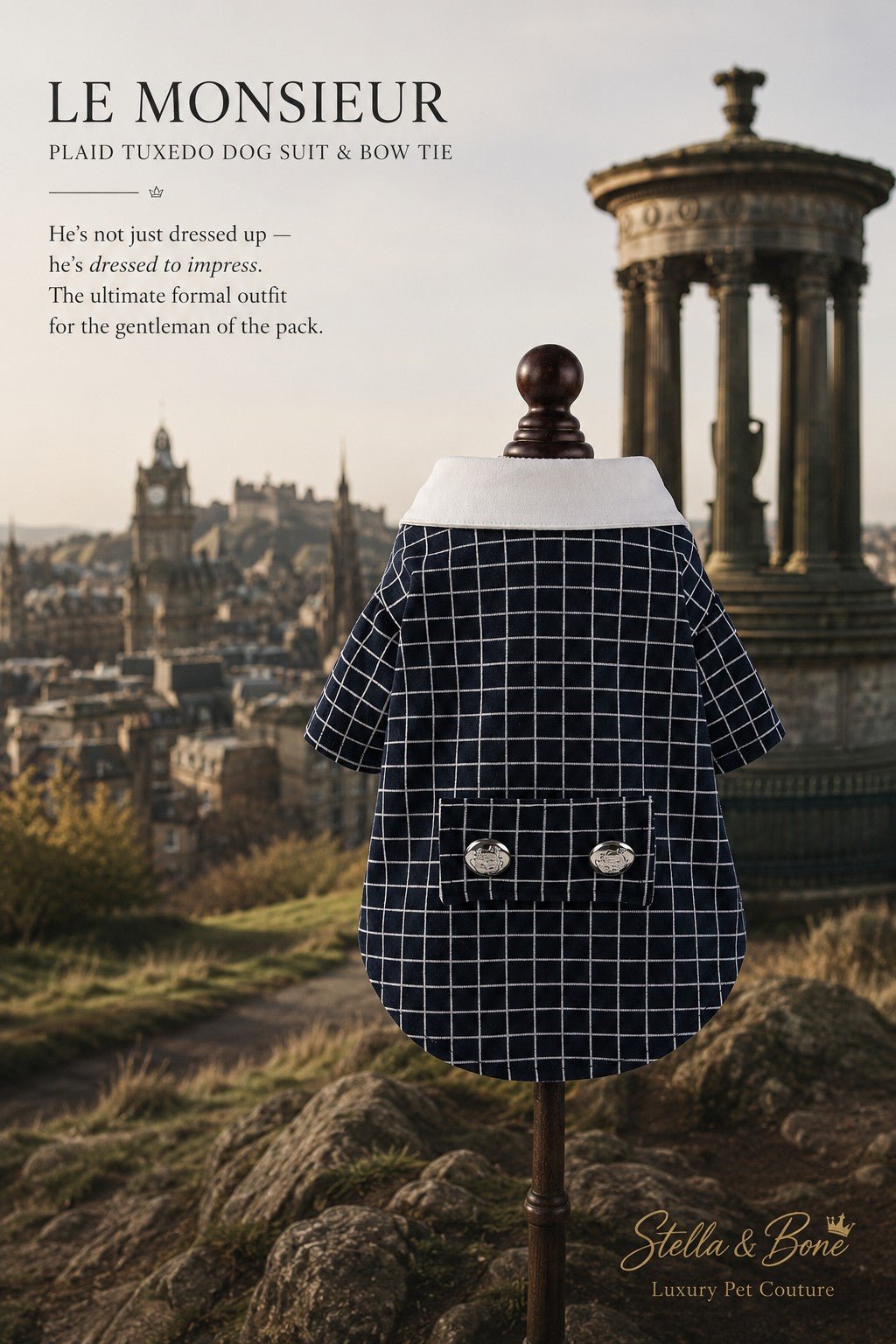 Le Monsieur | Plaid Tuxedo Dog Suit & Bow Tie | Stella & Bone