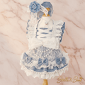La Dentelle | Elegant Lace Dog Gown | Stella & Bone