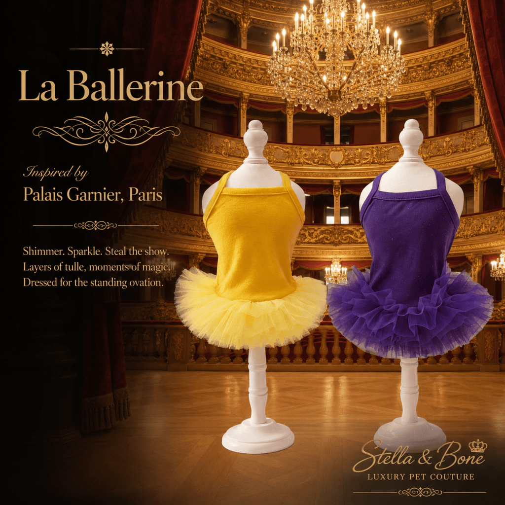 La Ballerine in Yellow and Purple, Soft stretch bodice. Great for birthdays, photoshoots, parties and boutique fashion