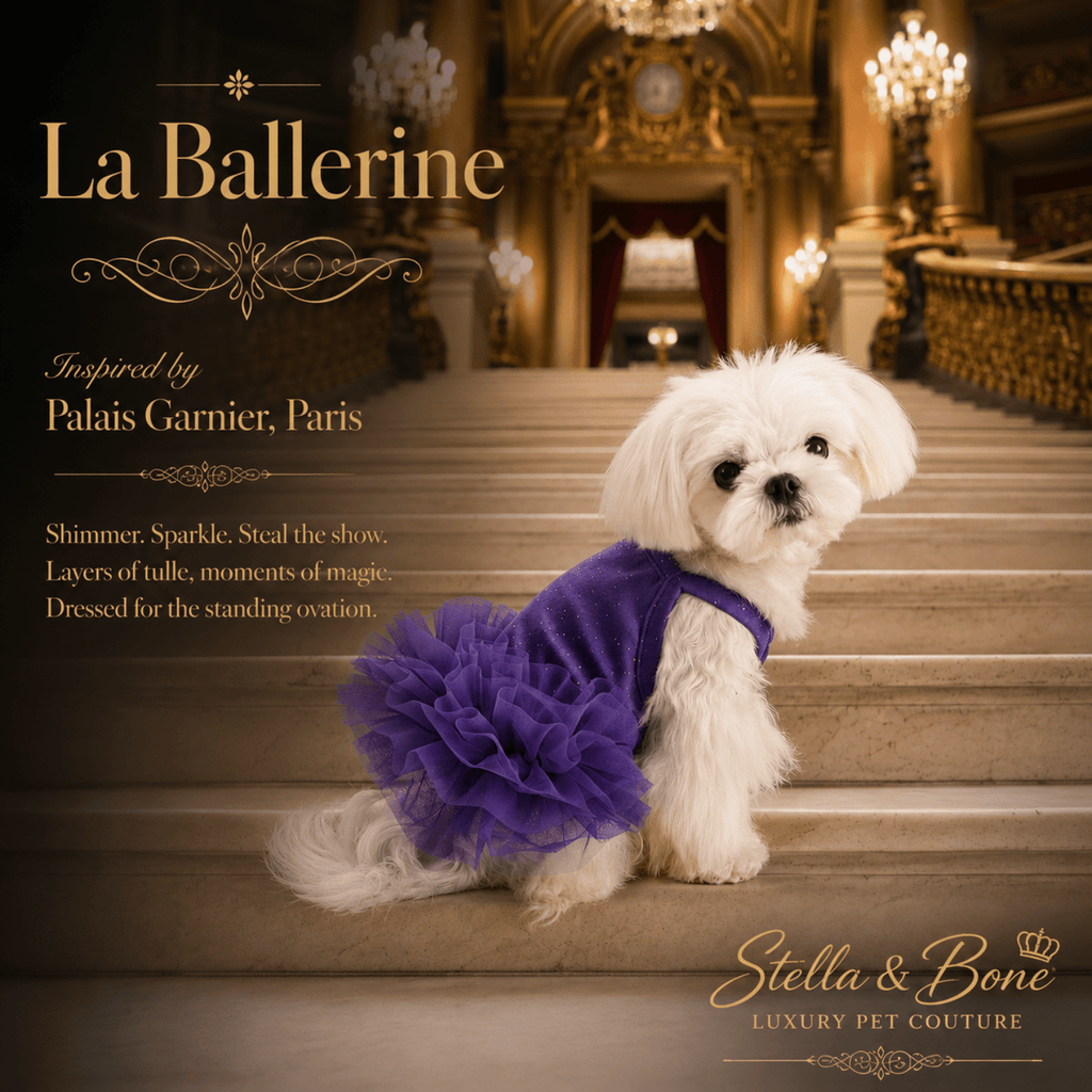 Small white dog wearing La Ballerine in purple -  glitter shimmer tulle that catches light beautifully, fluffy tutu skirt