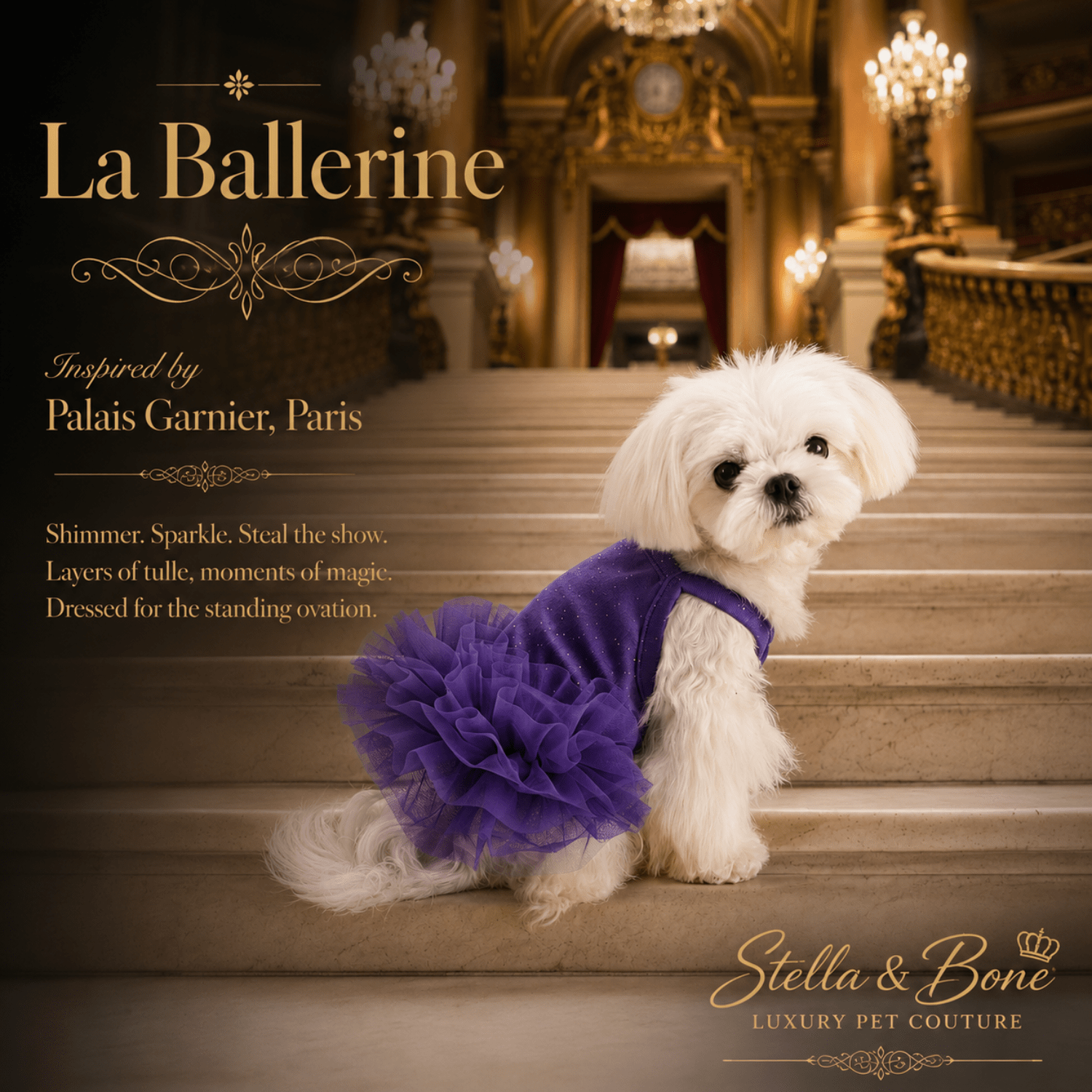 Small white dog wearing La Ballerine in purple -  glitter shimmer tulle that catches light beautifully, fluffy tutu skirt