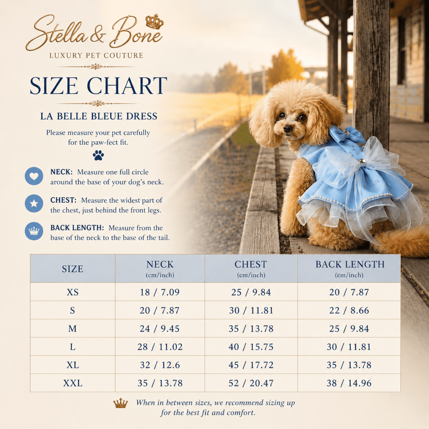 La Belle Bleue | Pearl & Rhinestone Satin Dog Gown | Stella & Bone