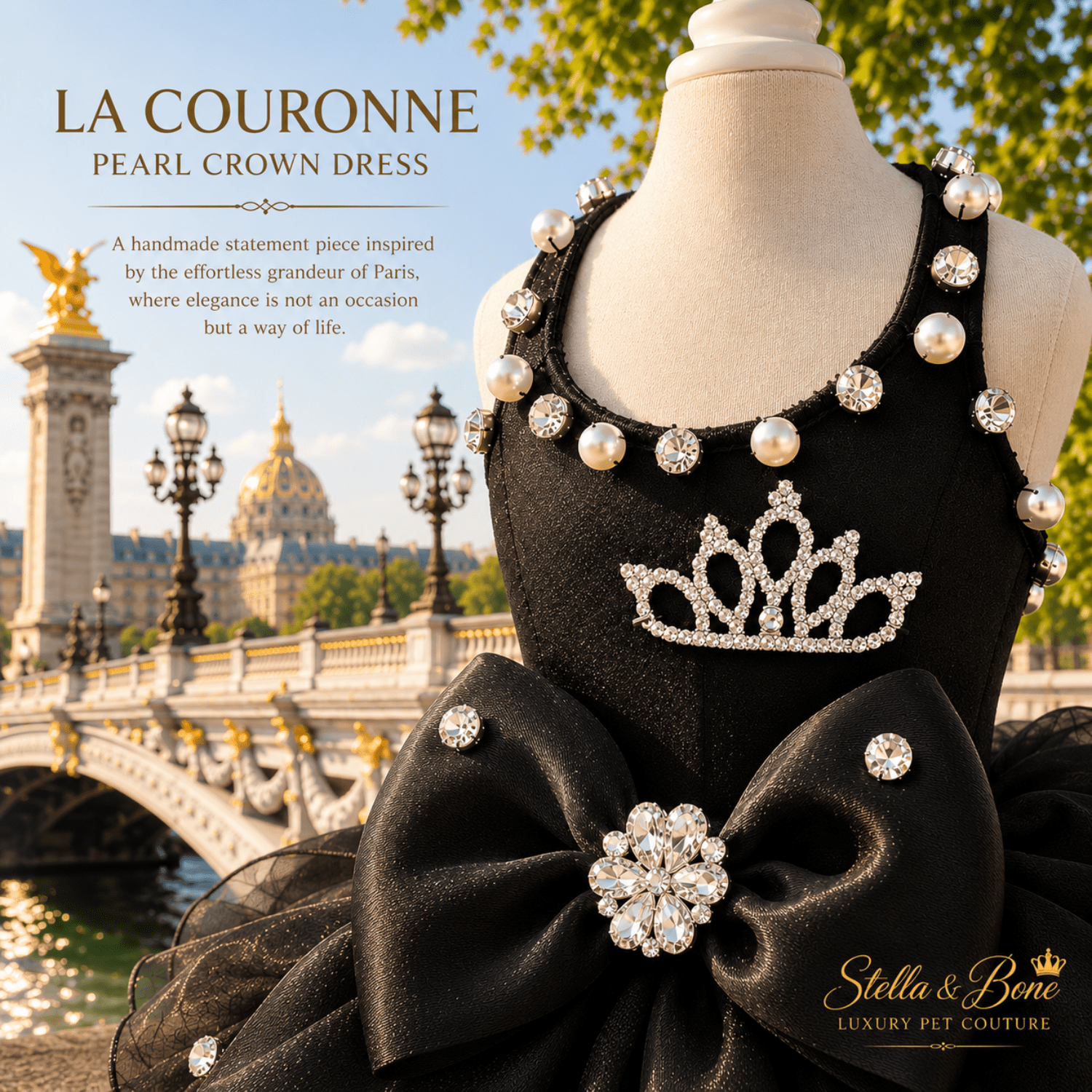 La Couronne Pearl Crown Dress — Persian cat in black crown dress with pearl collar at the Louvre Paris. Special occasions.